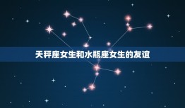 天秤座女生的闺蜜星座女(拍档水瓶座女生)