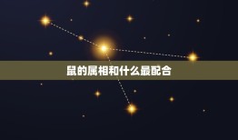 鼠的属相和什么最配合(组合鼠配合哪些属相)