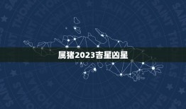 属猪2023吉星凶星(猪年运势大介绍)