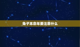 兔子本命年要注意什么(幸运色、忌讳事项一网打尽)