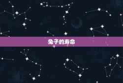 兔子年龄对照表寿命(了解兔子的寿命和年龄对照表)