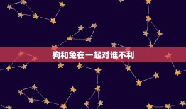 狗和兔在一起对谁不利(为什么这两种宠物不能共处)