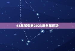 63年属兔男2023年全年运势(兔子男子财运亨通感情稳定但需注意健康问题)