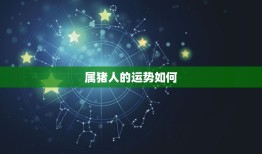 属猪的今年多大岁数(猪年生肖运势大介绍)