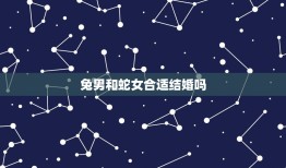 兔男和蛇女合适结婚吗(星座专家介绍)