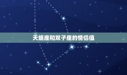 天蝎座和双子座的情侣值(星座配对分析)