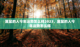 属鼠的人今年运势怎么样2023，属鼠的人今年运势怎么样