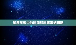 属狗和属猪婚姻相配吗(介绍星座学说与实际情况)