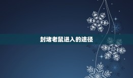 什么东西可以驱赶老鼠(有效的老鼠驱赶方法大介绍)