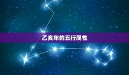 流年乙亥年是什么(介绍猪年的五行属性及运势)