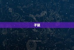 十二生肖拼音怎么写的(完整拼音表快速掌握)