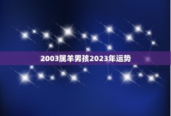 2003属羊男孩2023年运势(未来十年属羊男孩的运势如何)