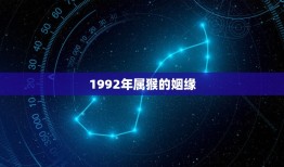 1992年属猴的姻缘(如何找到真爱)