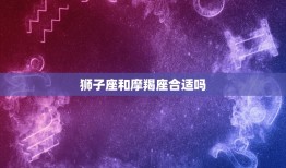 狮子座和摩羯座合适吗(星座配对分析)