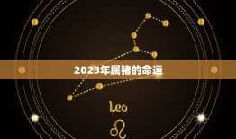 2023年属猪的命运(猪年大吉财运亨通)