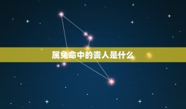 属兔命中的贵人是什么(介绍兔年生肖的幸运之星)