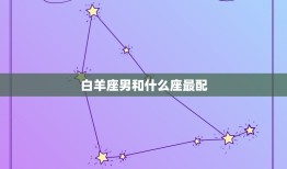 白羊座男和什么座最配(星座配对大介绍)