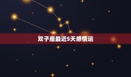 双子座最近5天感情运(爱情之花绽放幸福满满)