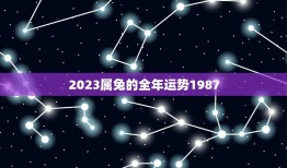 2023属兔的全年运势1987(兔年运势大介绍)