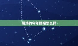 属鸡的今年婚姻怎么样(2023年属鸡人的婚姻运势分析)