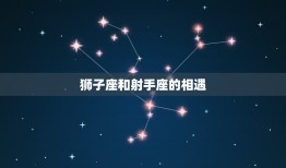 狮子座与射手座的关系(火热奔放共同创造人生)