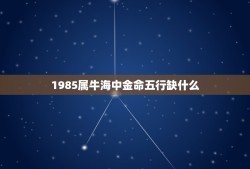 1985属牛海中金命五行缺什么(如何补足五行缺陷)
