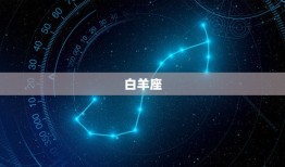 哪个星座治得住水瓶座(星座匹配大介绍)