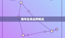 猪今年几岁了2023(猪年生肖运势介绍)