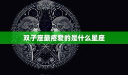 双子座最疼爱的是什么星座(揭秘这个星座最爱的竟然是TA)