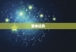 属猪的人今日运气好吗(介绍2023年属猪人的运势)