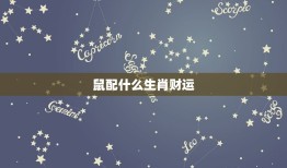 马配什么生肖财运(介绍搭配财富滚滚来)