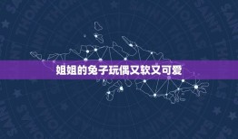 姐姐的兔子玩偶又软又可爱(手工制作过程)