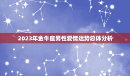 金牛座男今年爱情运势(2023稳定中求变爱情路上有惊喜)