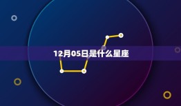 12月05日是什么星座(介绍12月05日出生的人属于哪个星座)