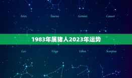 1983年属猪人2023年运势(猪年大吉财运亨通)