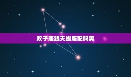 双子座跟天蝎座配吗男(星座配对分析)