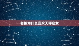 老板为什么喜欢天秤座女(介绍星座影响老板的招聘决策)