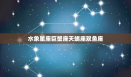 克制双子座的星座有哪些(挑战双子座的星座)