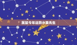 属鼠今年运势水墨先生(介绍2023年运势财运旺盛事业有成)