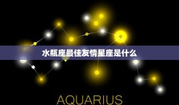 水瓶座最佳友情星座是什么(揭秘最默契的星座组合)