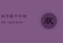 双子座今日运势第一星座网男(20240602)