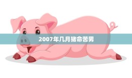 2007年几月猪命苦男(命运多舛的一年)