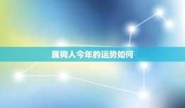 属狗人今年的运势如何(2023年狗年运势大介绍)