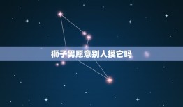 狮子男愿意别人摸它吗(介绍狮子男的触摸底线在哪里)