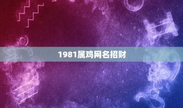 1981属鸡网名招财(如何选择适合自己的网名)