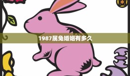 1987属兔婚姻有多久(解析兔年出生的人在婚姻中的表现)