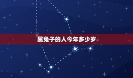 属兔子的人今年多少岁(2023年属兔子的人该注意什么)