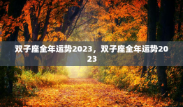 双子座全年运势2023，双子座全年运势2023