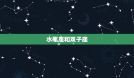 水瓶座和哪个星座更配(寻找星座匹配)