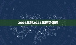 2004年猴2023年运势如何(猴年大展宏图未来可期)